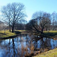 До +15 градусов: погода на следующей неделе порадует