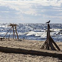 «Земля сползла возле летних домиков». Море наступает: территория Латвии становится всё меньше