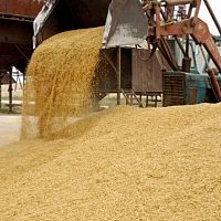 А зерно российское через Латвию гоним: объемы транзита даже растут!