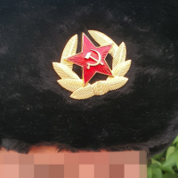 Второй по величине город Австрии проголосовал за коммунистов