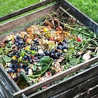 Обязательная сортировка и компостные кучи во дворах: новые правила в Риге