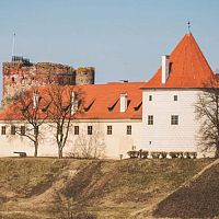 После скандала с собаками: в Бауске назначен новый начальник полиции