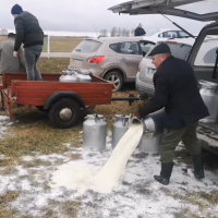 Крупнейший производитель молока в Латвии отозвал продукцию из-за инфекции