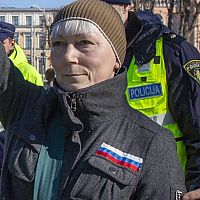 Елена Крейле обжаловала приговор суда за прославление Путина Елена Крейле обжаловала приговор суда за прославление Путина