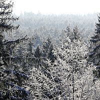 Этот декабрь будет одним из самых теплых за всю историю наблюдений Этот декабрь будет одним из самых теплых за всю историю наблюдений