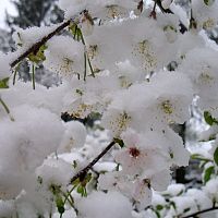 До плюс 20 и даже ветер тёплый: погода в понедельник