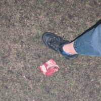 «Последствий избежать не получится»: в Иманте появился отравитель собак (ФОТО)