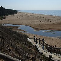 Под голубым флагом нельзя: в Саулкрасты тоже определились, на какие пляжи можно с собаками