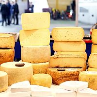 Полезнее жёлтый или белый: что нам продают под видом сыра?