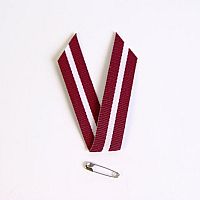 Основатели движения «Без партий» раскололись: «Латвияс авизе»