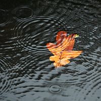 Во вторник в рижском канале был найден погибший Во вторник в рижском канале был найден погибший