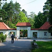 В Рижском зоопарке родился верблюжонок