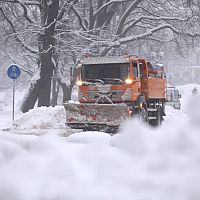Спец по уборке дорог Латвии едет учиться в Гарвард — за четверть млн долларов: СМИ