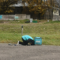 «Если нет другого места»: нужно построить мечеть, чтобы не молились на улице?