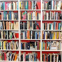 Дело о НДС на русскоязычные книги дошло до Конституционного суда Латвии