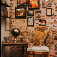 Рестораны Латвии входят в новый год с пустыми залами