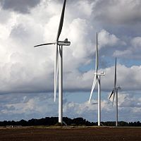 «Latvenergo» iegādājies «Eolus» vēja parka projektu «Pienava Wind»