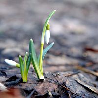 Коварное обманчивое солнце: погода в четверг