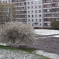 В конце недели снова обещают мороз и снег — сколько еще терпеть?