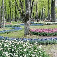 Уже до плюс 16: погода во вторник