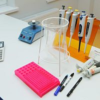 И снова сальмонелла: что-то она к нам зачастила. Где на этот раз?