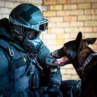 В школу нагрянул полицейский рейд с собаками: что случилось?