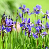 Уже до +16: погода во вторник