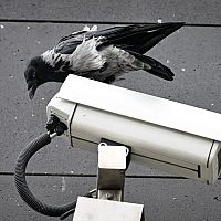 Стал случайным героем: имантчанин отбил бабушку у грабителей