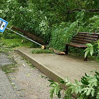 Ветер особенно мощно потрепал Ригу: десятки обращений к спасателям