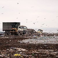 Обнаружился картель? Совет по конкуренции проверяет мусорщиков Обнаружился картель? Совет по конкуренции проверяет мусорщиков