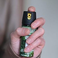 Конфликт в автобусе: агрессивная пассажирка применила против грудничка перцовый газ