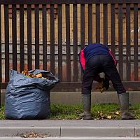 «Увольняют дворников!» Рижан злят неубранные дворы «Увольняют дворников!» Рижан злят неубранные дворы