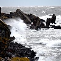 У пожарных и электриков много работы: ветер повалил деревья, дорожные знаки, сорвал кровлю