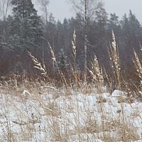 На следующей неделе ожидается приход зимы; пока она наступила только в Алуксне