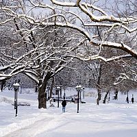 Ночью в Латвию вернётся мороз; а что будет днём в воскресенье? Ночью в Латвию вернётся мороз; а что будет днём в воскресенье?