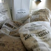 «Прожить месяц на 200 евро»: смелый эксперимент или реальность для многих?