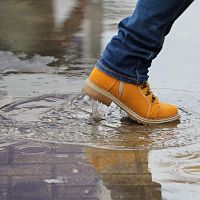 Похолодает и пойдут дожди: смена погоды