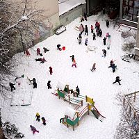 Кражи в детских садах: подозреваемый задержан по горячим следам