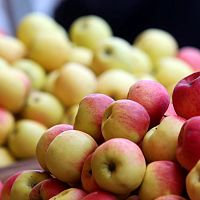 «Коктейль из пестицидов»: в яблоках из Европы найдены токсичные вещества «Коктейль из пестицидов»: в яблоках из Европы найдены токсичные вещества