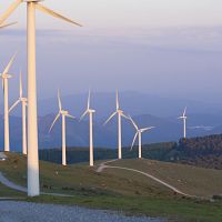 Экономист о «зеленом курсе»: единственная зелень там — это долларовые купюры