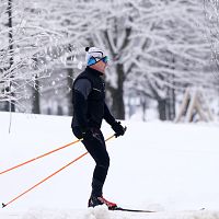 Фенолог Букшс дал прогноз на Зимние праздники: ждать ли снега по приметам?