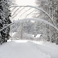 Ох, навалит ещё