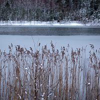 Чу, весна близко! В конце февраля ожидается оттепель Чу, весна близко! В конце февраля ожидается оттепель