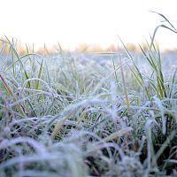 Ночью в Латвии подморозило до минус 5: что будет днём?