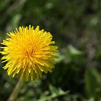 До+20 на следующей неделе?! Синоптики спорят