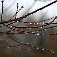 Синоптики о субботу: осадков не будет, но появится туман