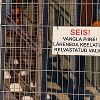 14 лет тюрьмы за госизмену: в Эстонии осужден оппозиционный политик 14 лет тюрьмы за госизмену: в Эстонии осужден оппозиционный политик