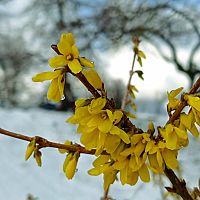 Растянули удовольствие: RNP включила в счета за март графу о вывозе снега