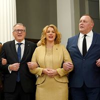 «Не дай Бог, к таким запишут»: Даукште о паническом страхе развалить правительство