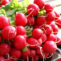 Восемь евро за редиску? Да дешевле бухать! Люди шокированы ценами на овощи Восемь евро за редиску? Да дешевле бухать! Люди шокированы ценами на овощи